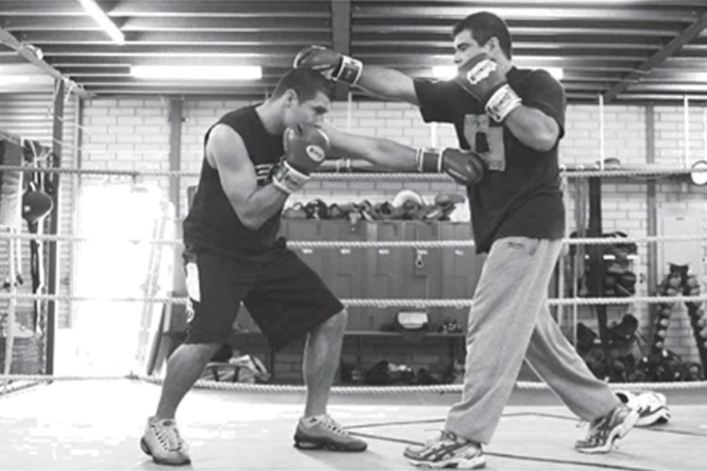 The Art of Counterpunch, Boxrite boxing training BoxriteBoxrite